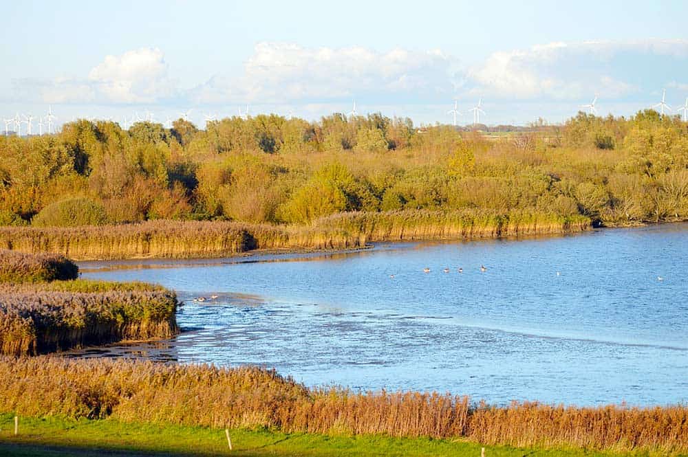 Naturschutzgebiete im Norddeutschen Tiefland Naturschutzgebiete im Norddeutschen Tiefland