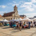 Lehramtsstudium Geografie an der PH Ludwigsburg