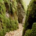 Felsenlabyrinth fränkische Schweiz