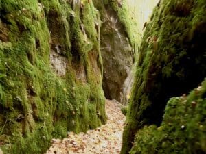 Mehr über den Artikel erfahren Felsenlabyrinth fränkische Schweiz