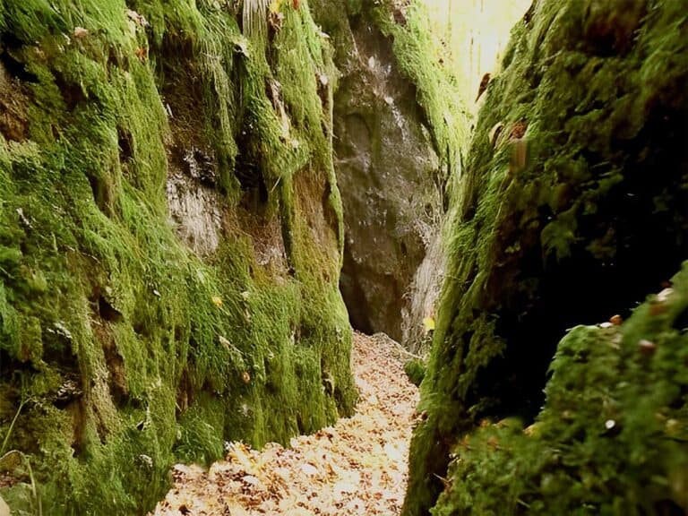 Mehr über den Artikel erfahren Felsenlabyrinth fränkische Schweiz