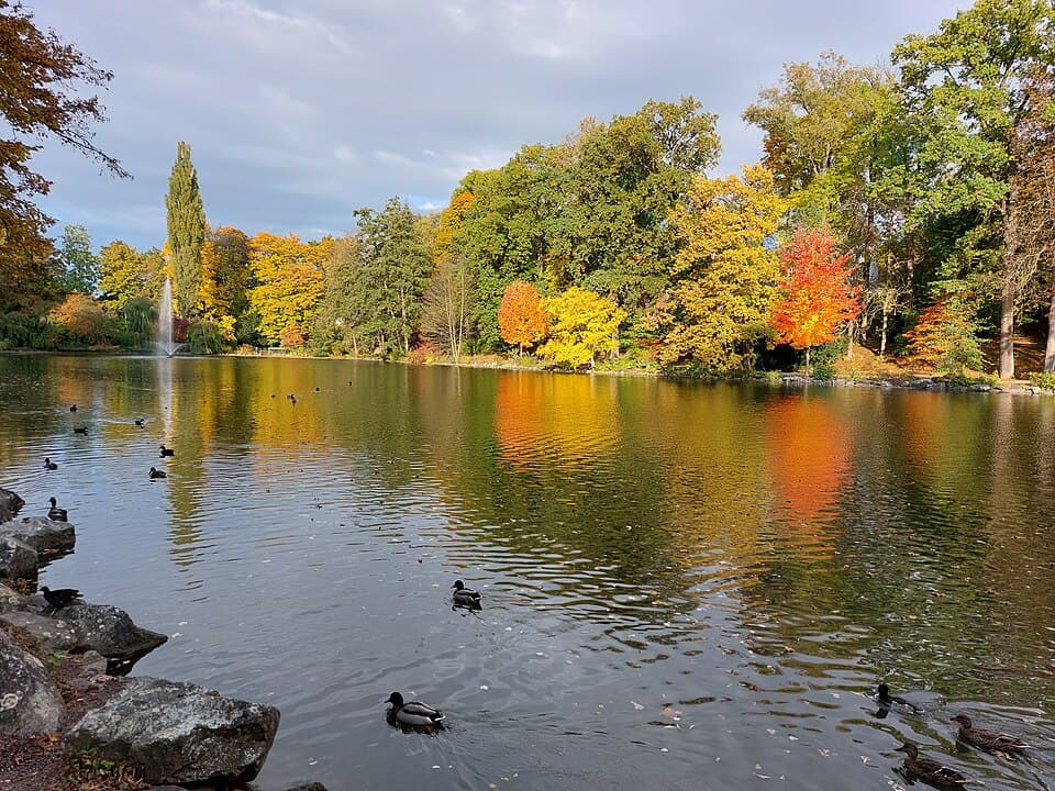 Röhrensee Bayreuth Herbst