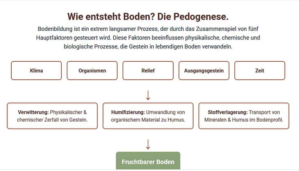 Wie entsteht Boden? Wie entsteht Boden?