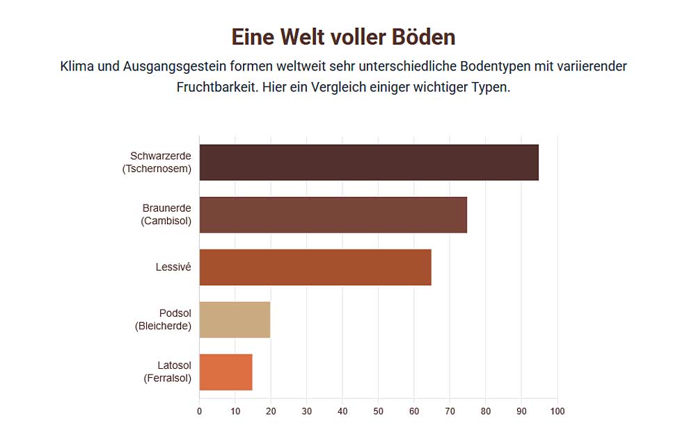 Eine Welt voller Böden Eine Welt voller Böden