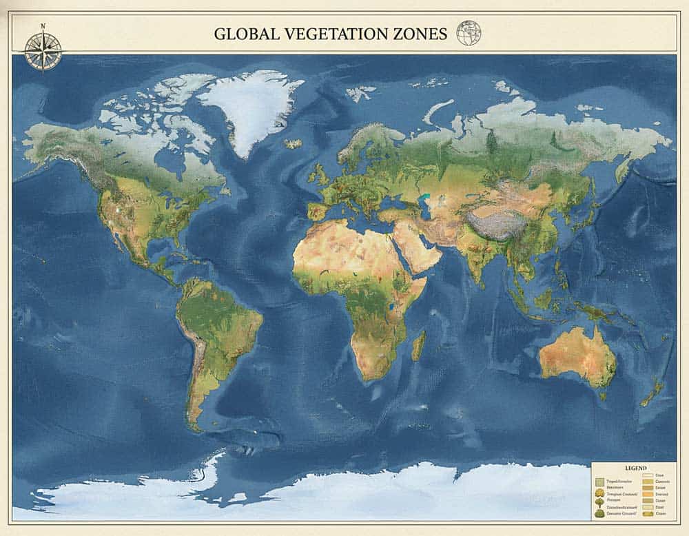Vegetationszonen in der Vegetationsgeographie Vegetationszonen in der Vegetationsgeographie